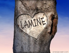 lamine